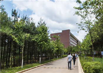 昆明市卫生学校2023年网上报名入口