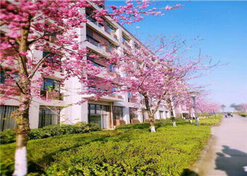 云南商务职业学院2023年三校生招生简章