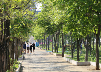 文山卫生学校2023年三校生录取分数线