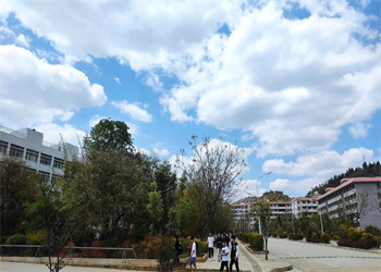 文山州工商信息管理学校2023年五年制招生要求