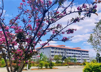 文山州工商信息管理学校2023年五年制大专招生代码