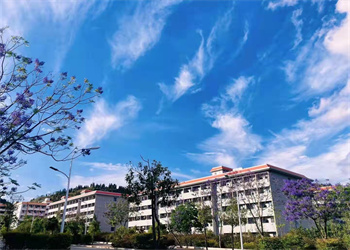 文山工商信息管理学校2023年三年制普通中专招生专业