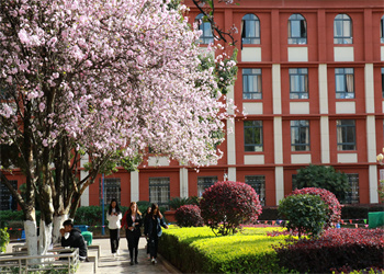 云南旅游职业学院2025年五年制大专招生报名点