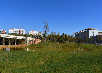 云南轻纺职业学院2025年五年制高职录取分数线