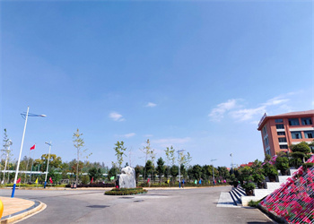 云南文化艺术职业学院2025年五年一贯制大专热门专业