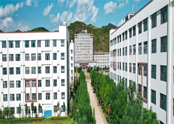 云南三鑫职业技术学院2026年五年制大专招生地址