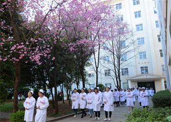 云南中医药中等专业学校2026年普通中专报名条件