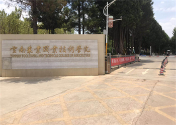 云南农业职业技术学院五年制大专2026年招生电话