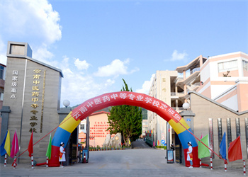 云南中医药中等专业学校2026年职教高考招生专业