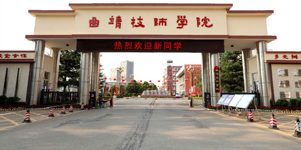 曲靖技师学院2026年职教高考招生专业